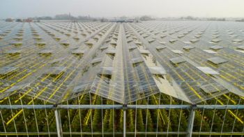 Sera Bağlantı Elemanları